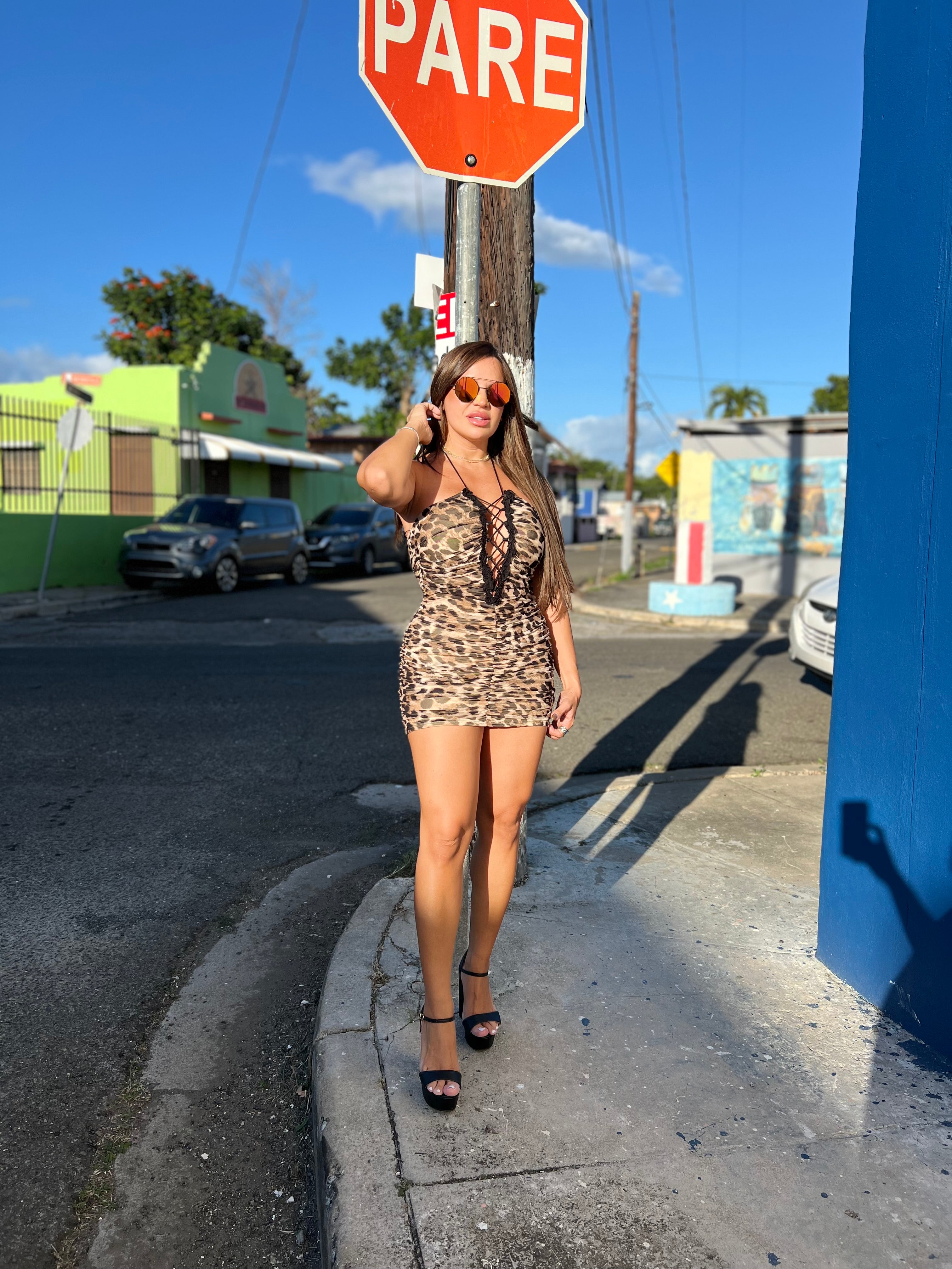 Leopard Ruched Mini Dress