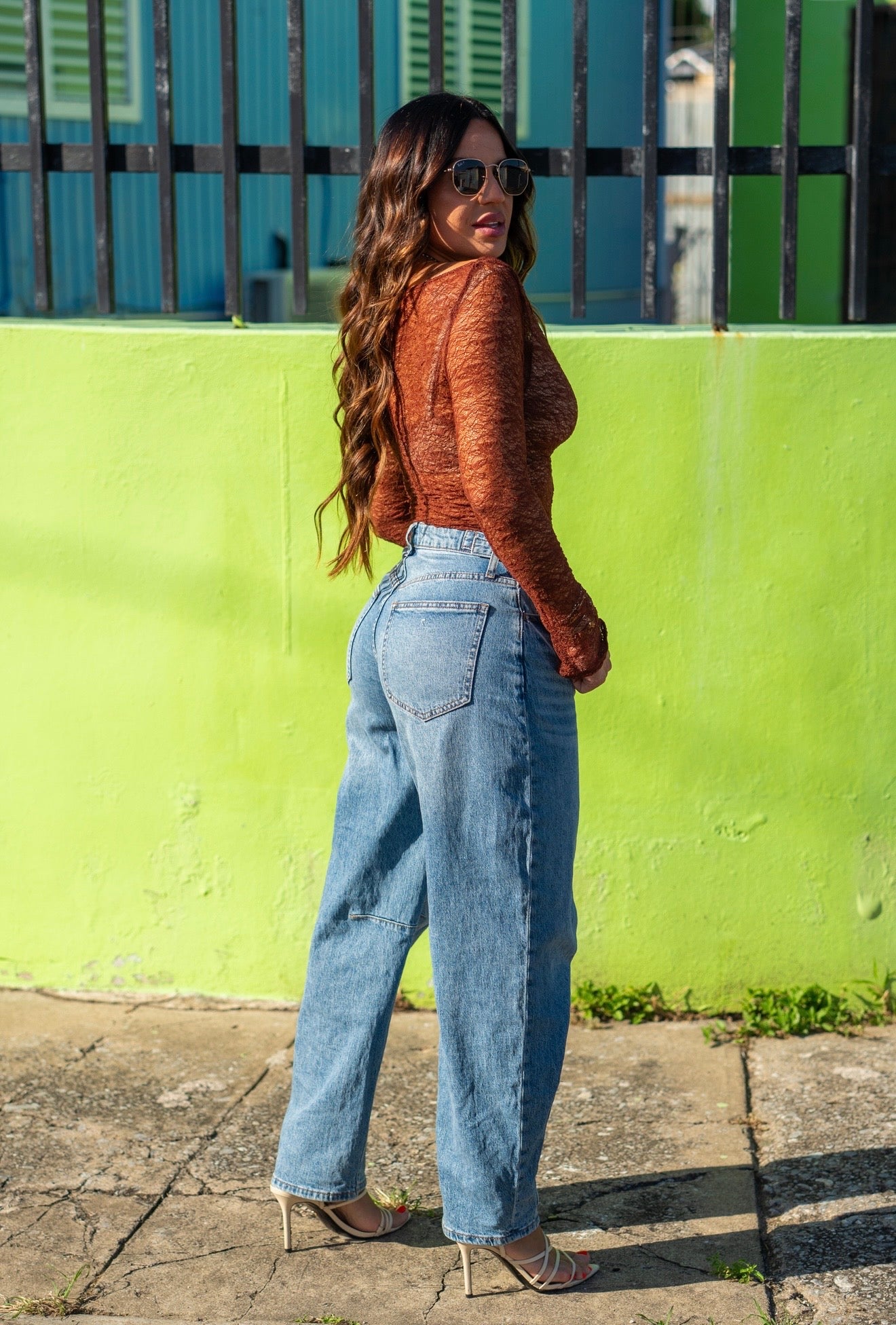 Brown Lace Long Sleeve Top