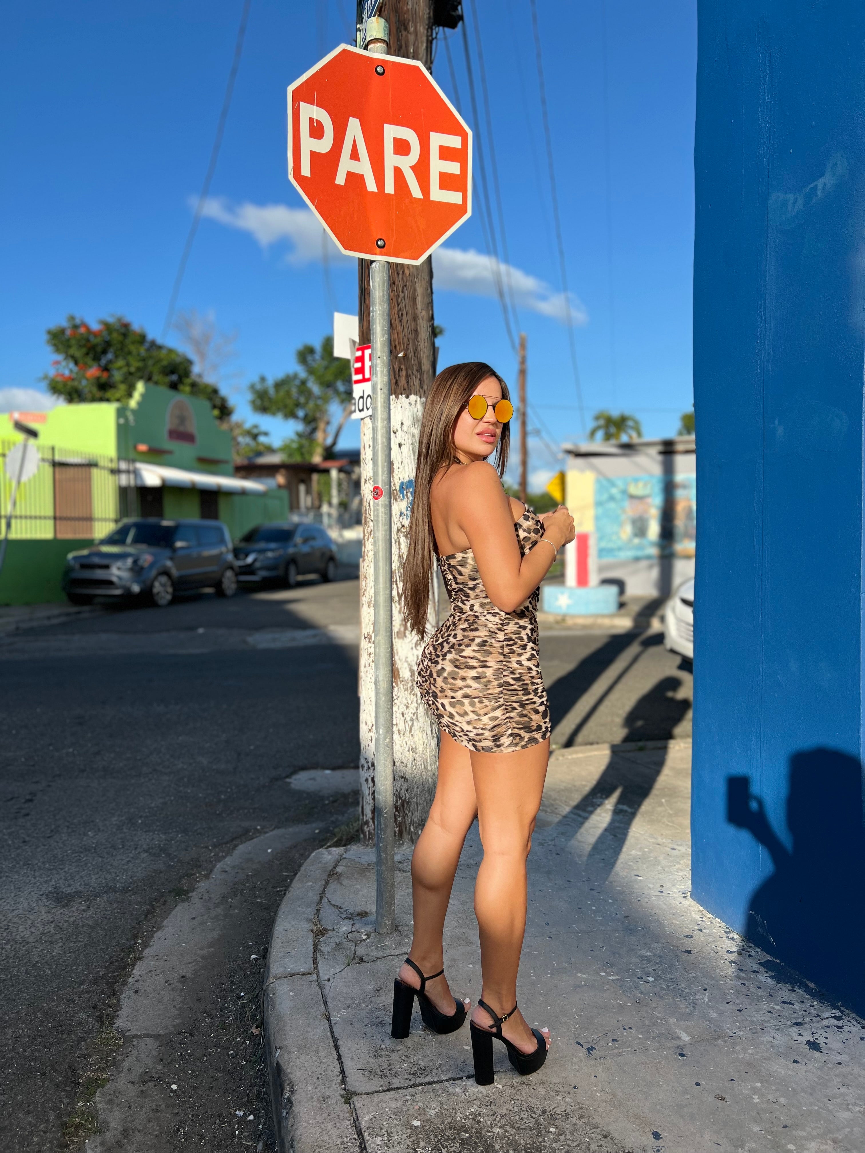 Leopard Ruched Mini Dress