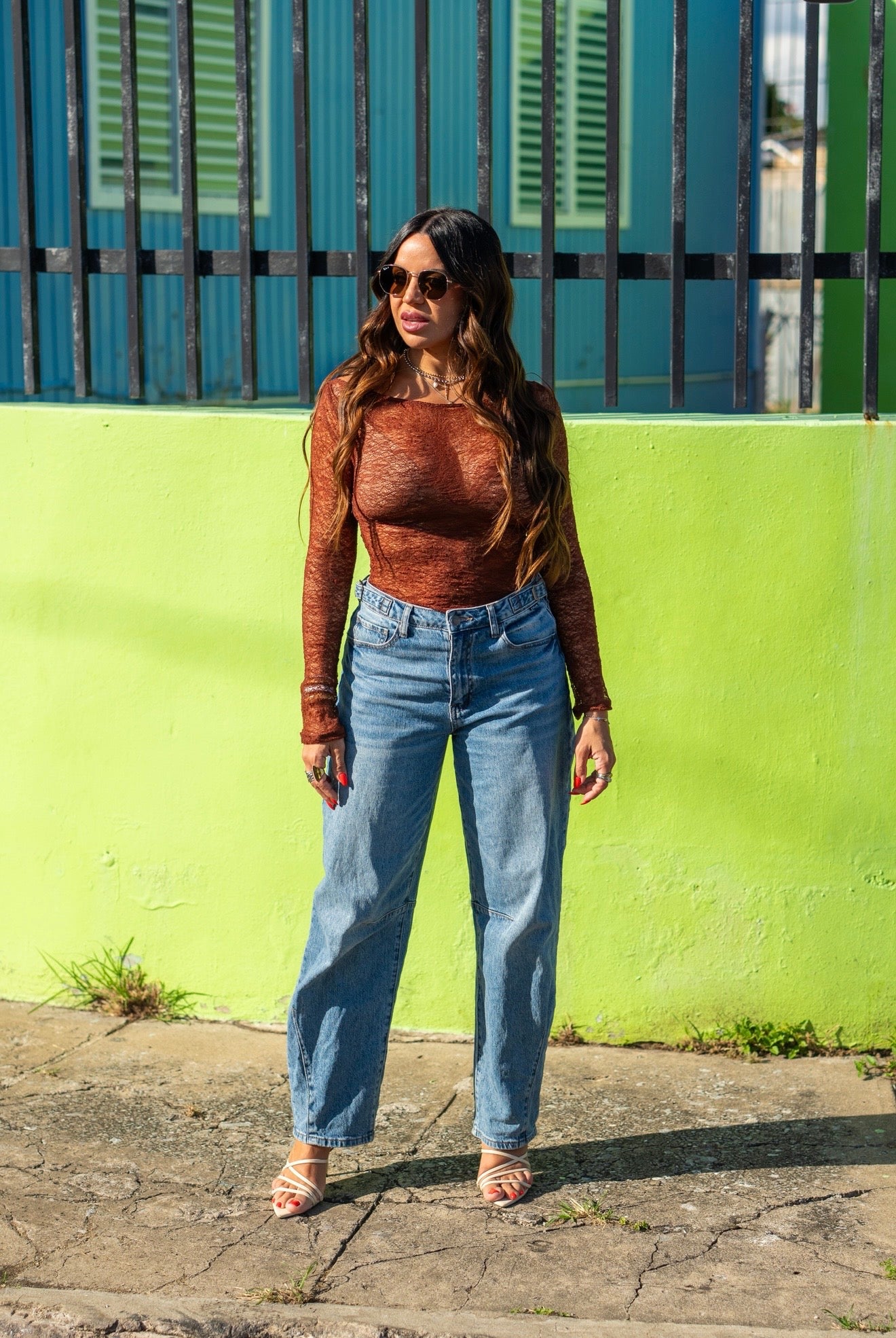 Brown Lace Long Sleeve Top