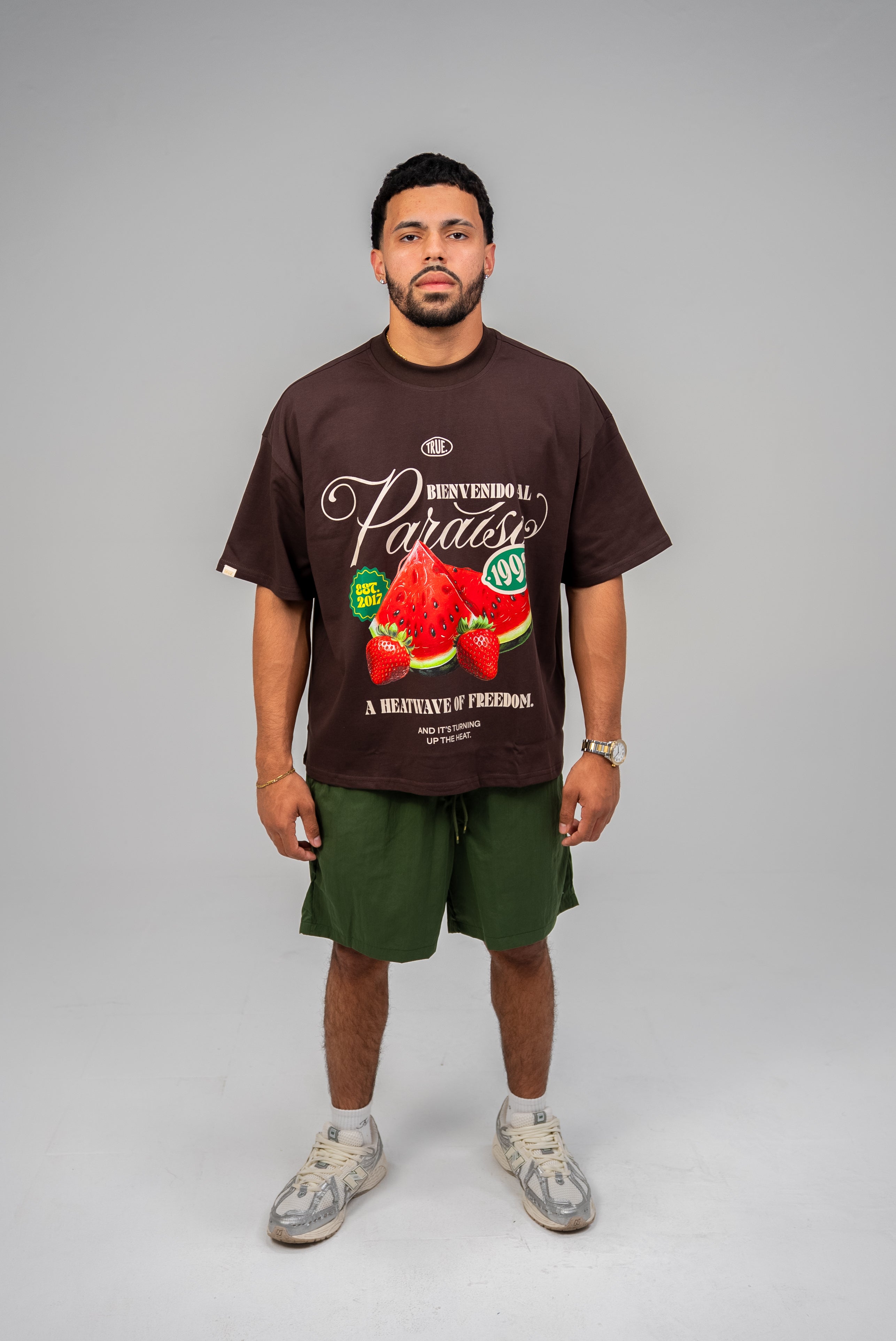 TRUE Paraiso Boxy Tee - Brown